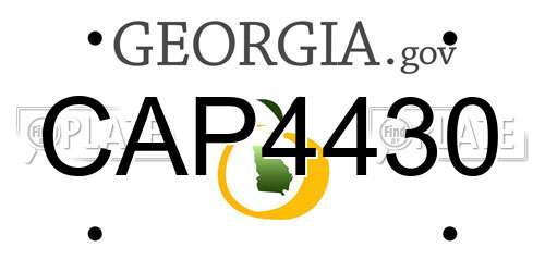 CAP4430 Georgia License Plate