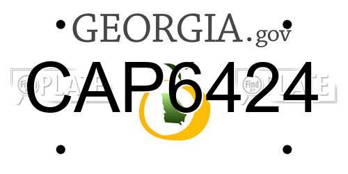 CAP6424 Georgia License Plate