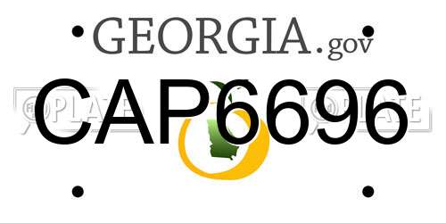 CAP6696 Georgia License Plate