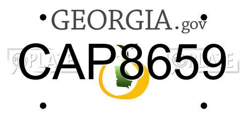 CAP8659 Georgia License Plate