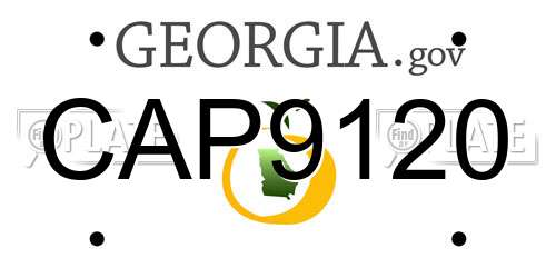 CAP9120 Georgia License Plate