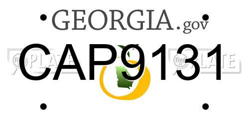 CAP9131 Georgia License Plate
