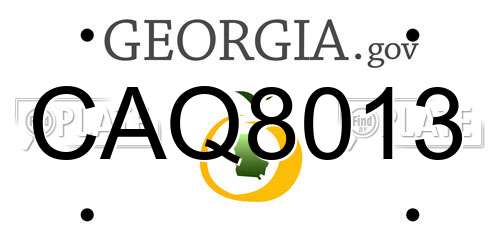 CAQ8013 Georgia License Plate