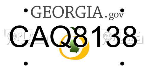 CAQ8138 Georgia License Plate