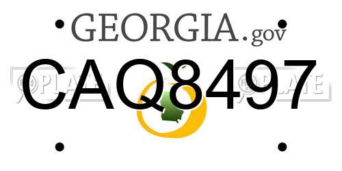 CAQ8497 Georgia License Plate