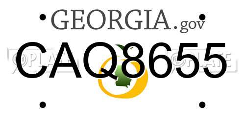 CAQ8655 Georgia License Plate