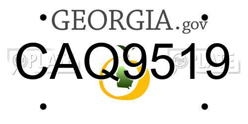 CAQ9519 Georgia License Plate