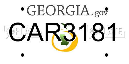 CAR3181 Georgia License Plate