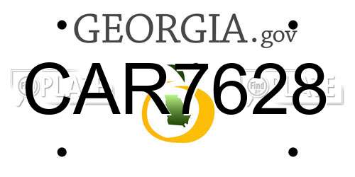 CAR7628 Georgia License Plate