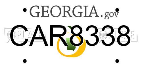 CAR8338 Georgia License Plate