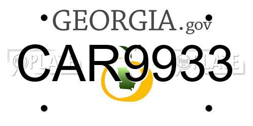 CAR9933 Georgia License Plate