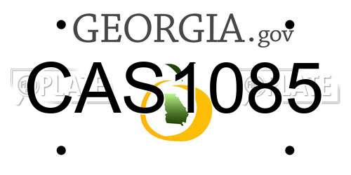 CAS1085 Georgia License Plate