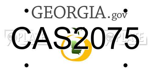 CAS2075 Georgia License Plate