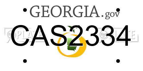 CAS2334 Georgia License Plate