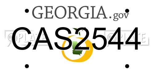 CAS2544 Georgia License Plate