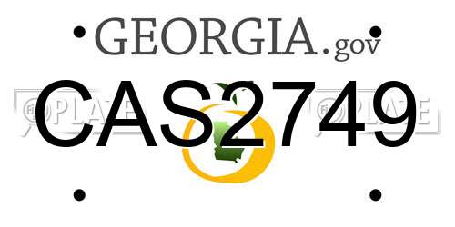 CAS2749 Georgia License Plate