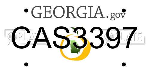 CAS3397 Georgia License Plate