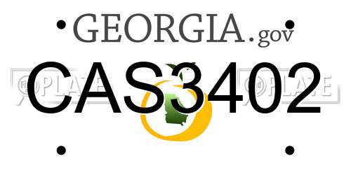 CAS3402 Georgia License Plate
