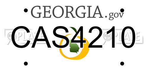 CAS4210 Georgia License Plate
