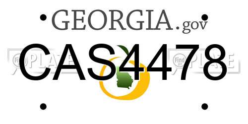 CAS4478 Georgia License Plate