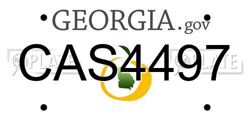 CAS4497 Georgia License Plate