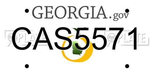 CAS5571 Georgia License Plate