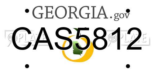 CAS5812 Georgia License Plate