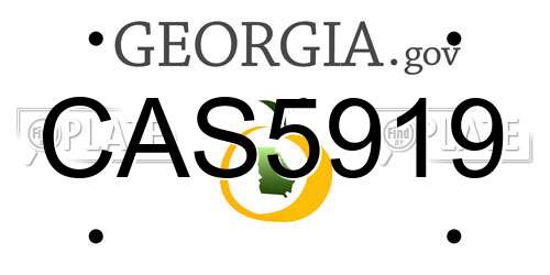 CAS5919 Georgia License Plate