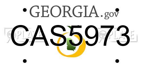 CAS5973 Georgia License Plate
