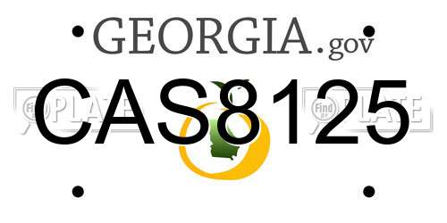 CAS8125 Georgia License Plate