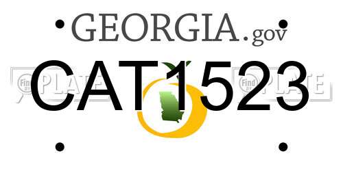 CAT1523 Georgia License Plate