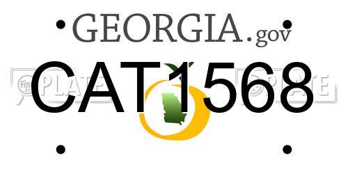 CAT1568 Georgia License Plate