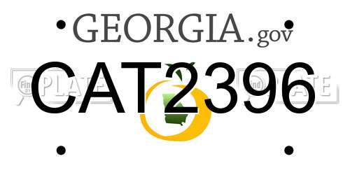CAT2396 Georgia License Plate