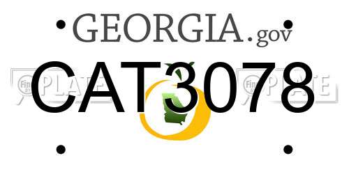 CAT3078 Georgia License Plate