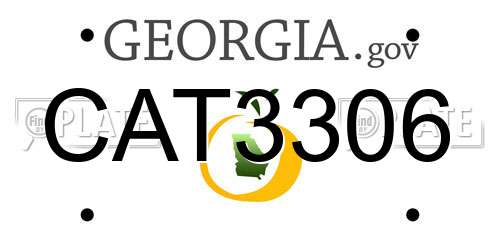 CAT3306 Georgia License Plate