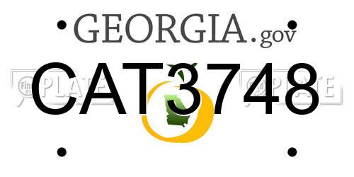 CAT3748 Georgia License Plate