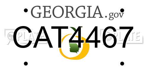 CAT4467 Georgia License Plate