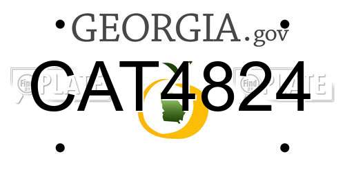 CAT4824 Georgia License Plate