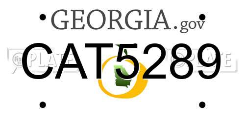 CAT5289 Georgia License Plate
