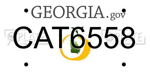 CAT6558 Georgia License Plate