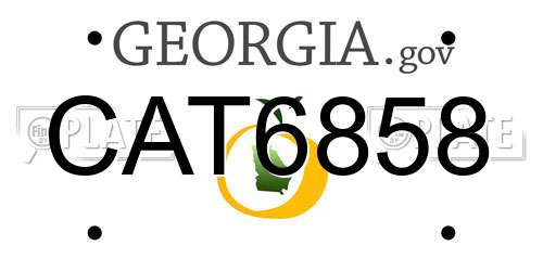 CAT6858 Georgia License Plate