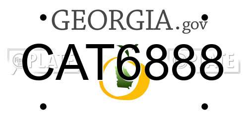 CAT6888 Georgia License Plate