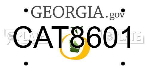 CAT8601 Georgia License Plate