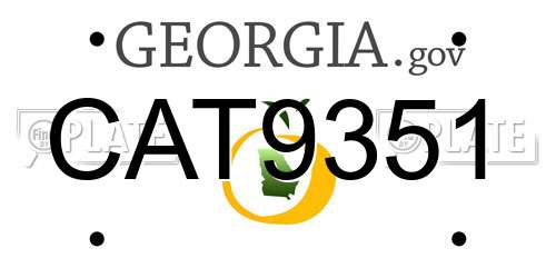 CAT9351 Georgia License Plate