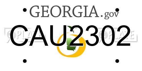CAU2302 Georgia License Plate
