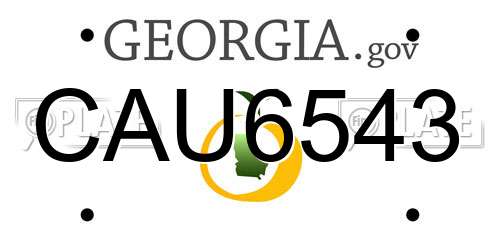 CAU6543 Georgia License Plate