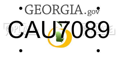 CAU7089 Georgia License Plate