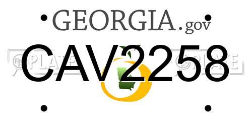 CAV2258 Georgia License Plate