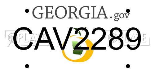 CAV2289 Georgia License Plate