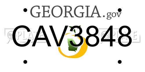 CAV3848 Georgia License Plate